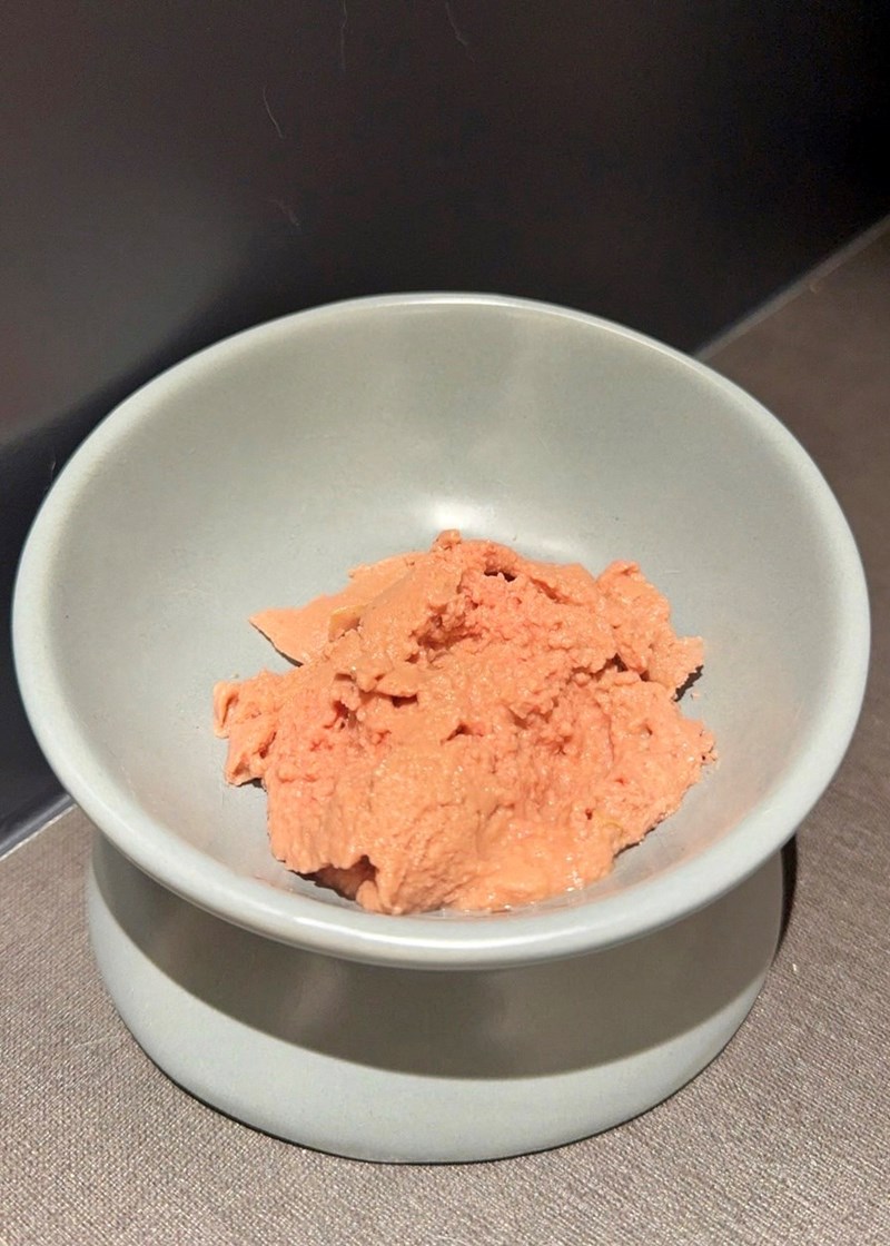 試用